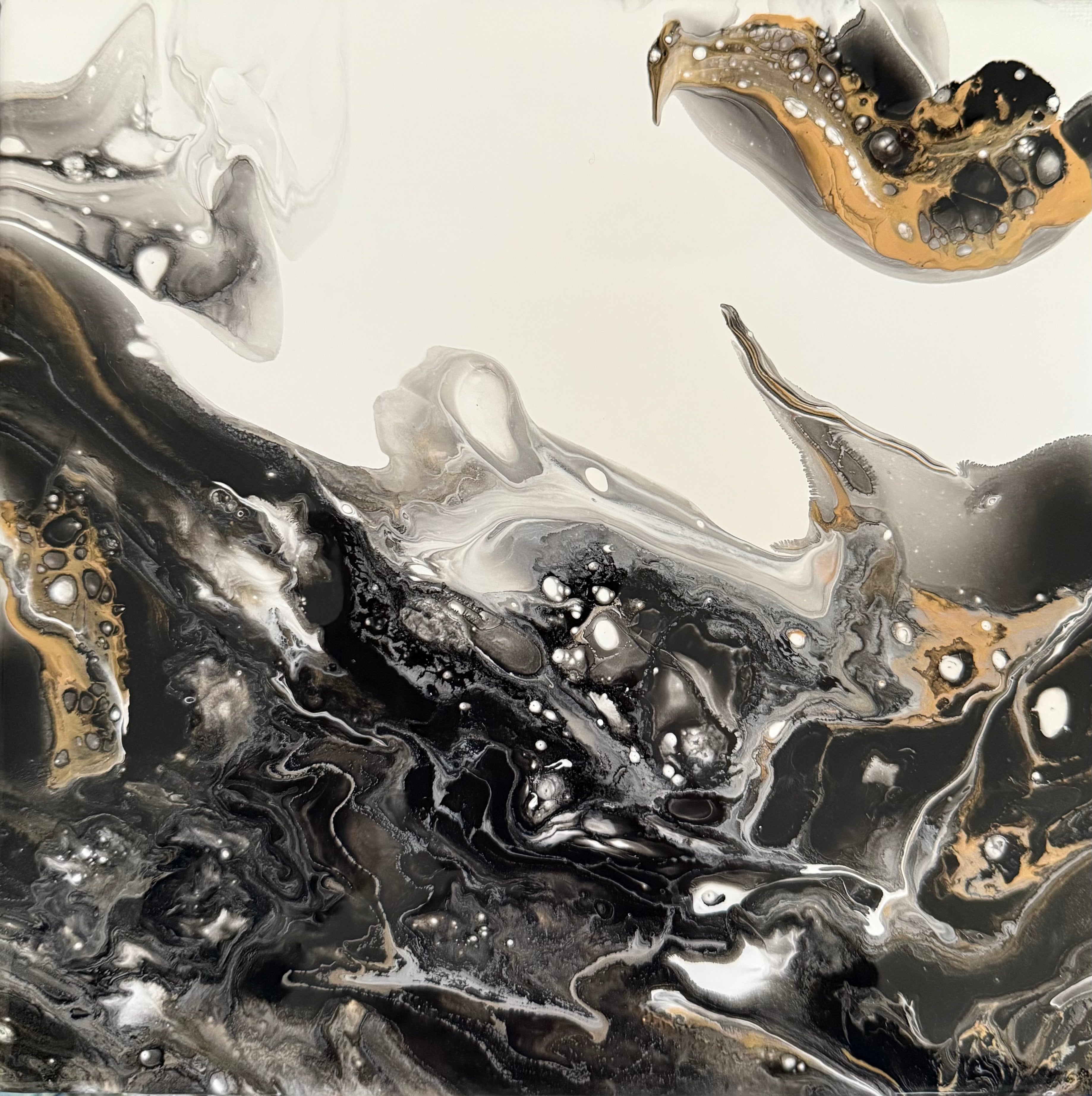 Black and Gold